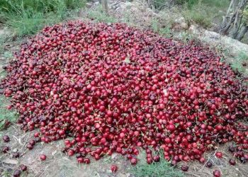 Δεν τους έφτανε η ζημιά, πληρώνουν και από πάνω