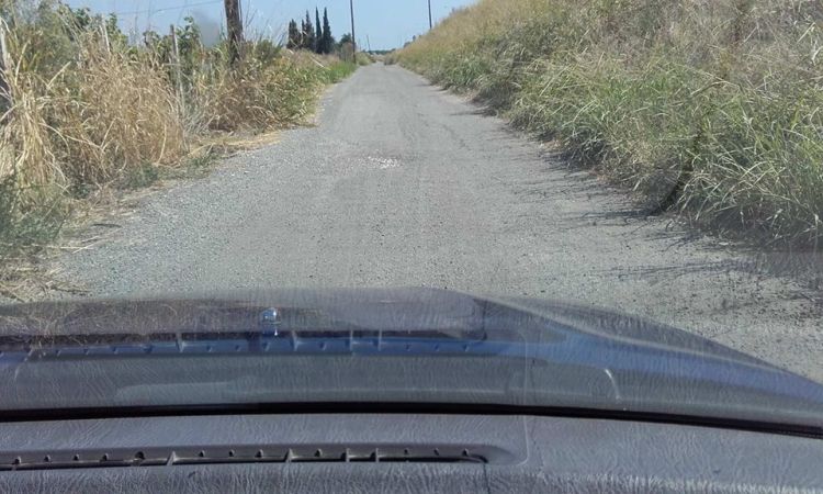 21100184_1517917814917881_923225585_n