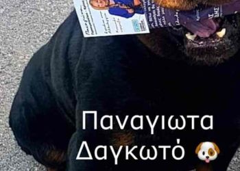 sxolio_gerasimopoyloy