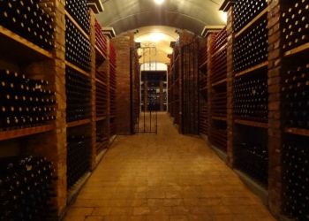 ll7qlyxtzs1k0dzunzmb