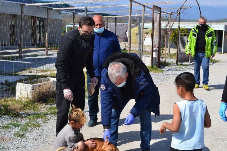 Προληπτικοί εμβολιασμοί και χορήγηση φαρμάκων σε αδέσποτα, στον οικισμό των Ρομά