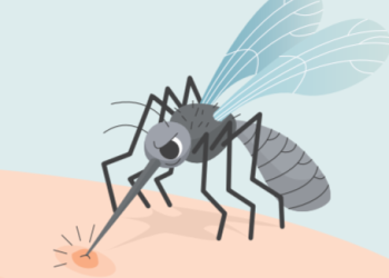 Η Καταπολέμηση Κουνουπιών Στη Δ.ε. Ανατολικου Ολυμπου