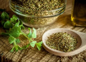 Ρίγανη η… αντικαρκινική