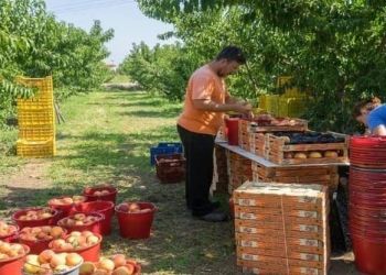Tα αγροδιατροφικά προϊόντα στην «προμετωπίδα» των ελληνικών εξαγωγών