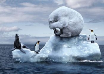 Κλιματική αλλαγή: Τα «ζωτικά σημεία» της Γης εξασθενούν