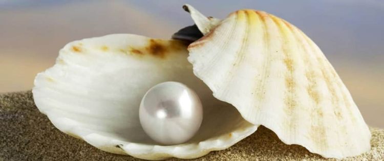 Μαργαριτάρια στην Έκθεση Ιδεών