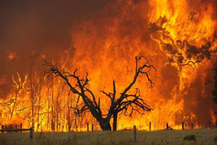 Οι πυρκαγιές επηρέασαν το κλίμα