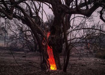 Έκθεση ΟΗΕ: Οι άνθρωποι φταίμε για την κλιματική αλλαγή