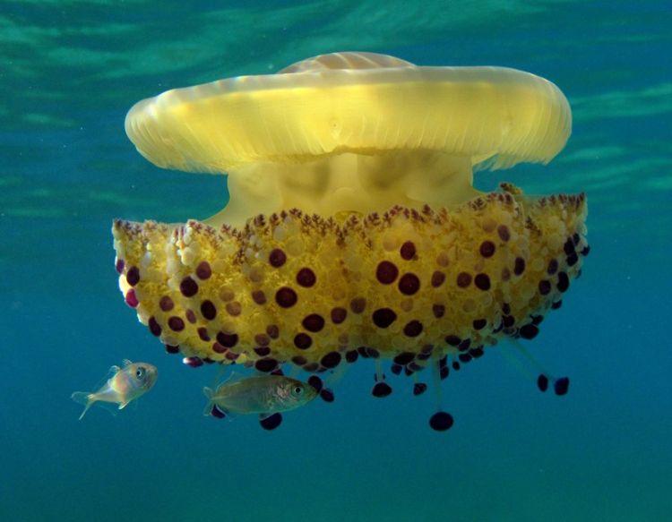 Από Αύγουστο χειμώνα