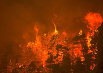 Ελλάδα: Ρεκόρ καμένων εκτάσεων σε μόλις δύο εβδομάδες