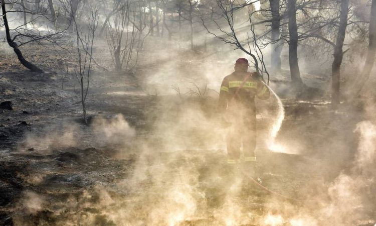 Να καούν τα φαρμακερά βρωμοχόρταρα, για να ανασάνει η Ελλάδα