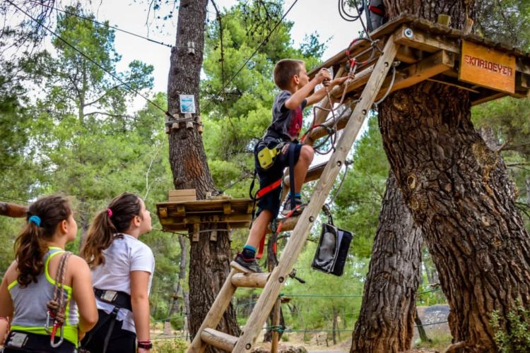 Ολυμπιακή αναρρίχηση