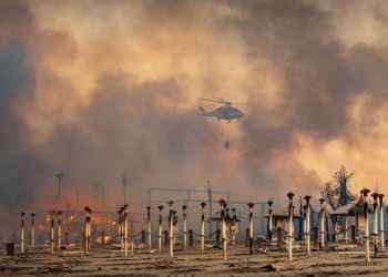 Ο πλανήτης καίγεται εδώ και ένα μήνα – Τι συμβαίνει;