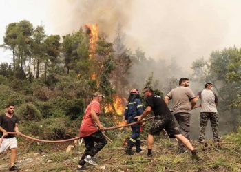 Το Εθνικό Μητρώο Εθελοντικών Οργανώσεων παραμένει κλειστό εδώ και 2 χρόνια!