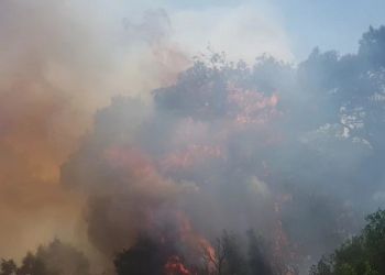 Ψυγεία στην φωτιά