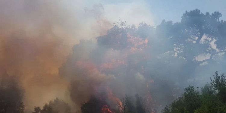 Ψυγεία στην φωτιά