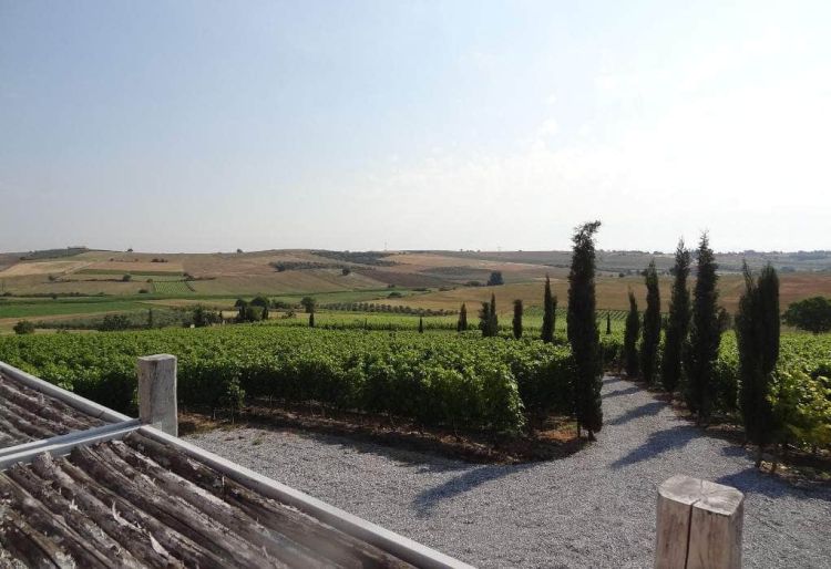 Αλλαγές ετοιμάζει το οινοποιείο των Γαρυπίδη – Μαντουλίδου στο Κίτρος