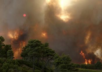 Ελλάδα: Πάνω από ένα εκατομμύριο στρέμματα κάηκαν σε δύο εβδομάδες
