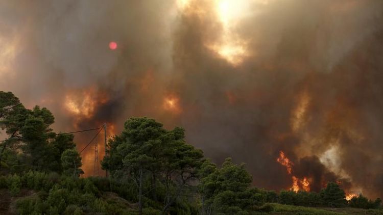 Ελλάδα: Πάνω από ένα εκατομμύριο στρέμματα κάηκαν σε δύο εβδομάδες