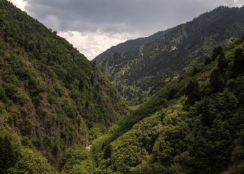 Παρατείνεται Η Απαγόρευση Για Τα Δάση Περιοχές Natura, Εθνικούς Δρυμούς, Αισθητικά Δάση Και Άλση