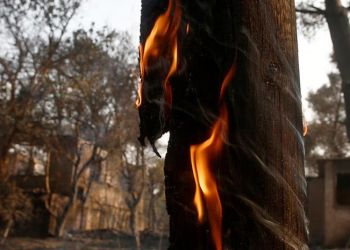 Πυρκαγιές: Όλα τα μέτρα στήριξης των πυρόπληκτων