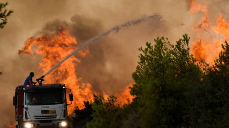 Σε ΦΕΚ η Κοινή Υπουργική Απόφαση σχετικά με την επιχορήγηση αγροτικών εκμεταλλεύσεων για την αποζημίωση των πληγέντων από τις πυρκαγιές της περιόδου Μαΐου Αυγούστου 2021