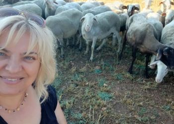 Η αγρότισσα – κτηνοτρόφος από τα Λεύκαρα Κοζάνης, Στέλλα Λάσπα με τα 700 πρόβατα…