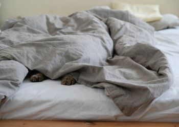 Κυριακή, γιορτή και σχόλη να ΄ταν η βδομάδα όλη