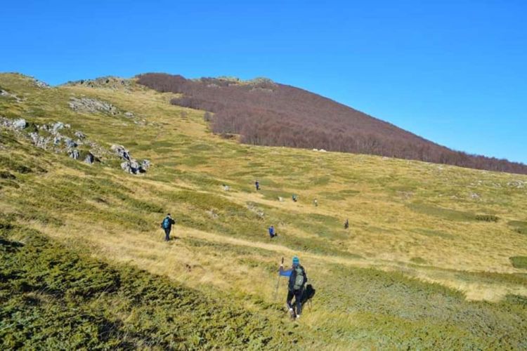 Ο Ορειβατικός Σύλλογος Βροντούς Ολύμπου καλεί τα μέλη και τους φίλους του για πεζοπορία στο Βέρμιο, την Κυριακή 31 Οκτωβρίου 2021