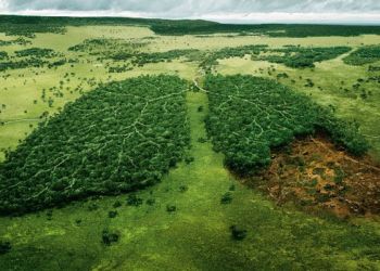 Αμαζόνιος: Πλησιάζει σε σημείο μη επιστροφής η καταστροφή του – Εφιάλτης για τον πλανήτη