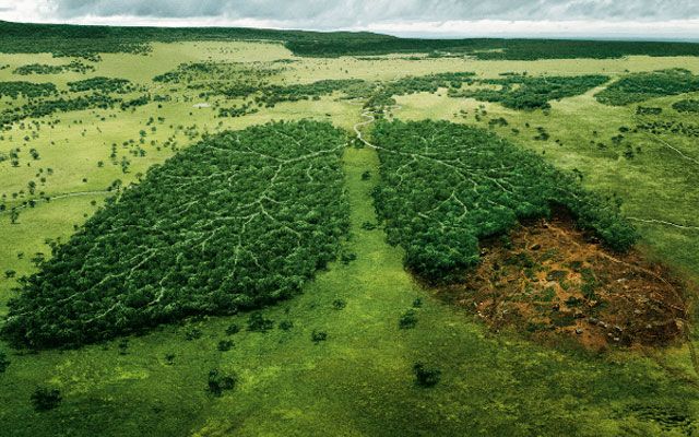 Αμαζόνιος: Πλησιάζει Σε Σημείο Μη Επιστροφής Η Καταστροφή Του – Εφιάλτης Για Τον Πλανήτη