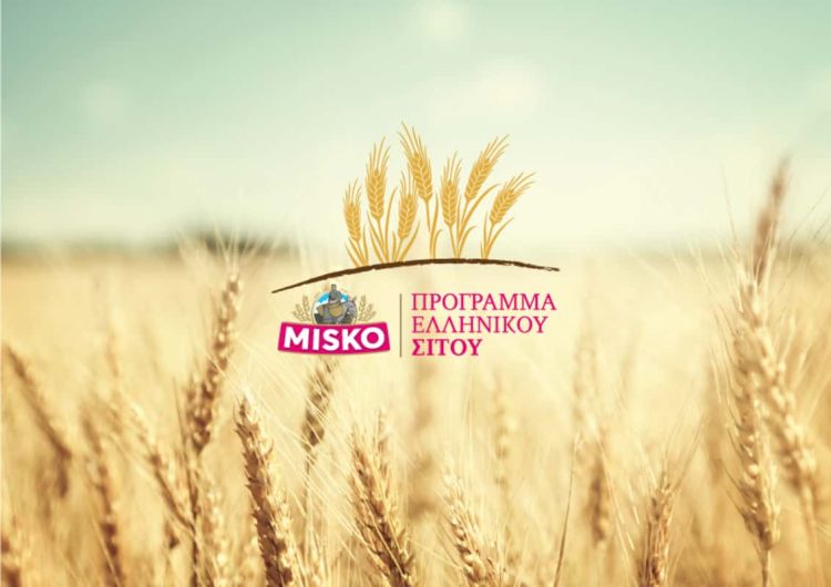 Καινοτόμες τεχνολογίες βρίσκουν εφαρμογή στον πιλοτικό αγρό του «Προγράμματος Ελληνικού Σίτου Misko»