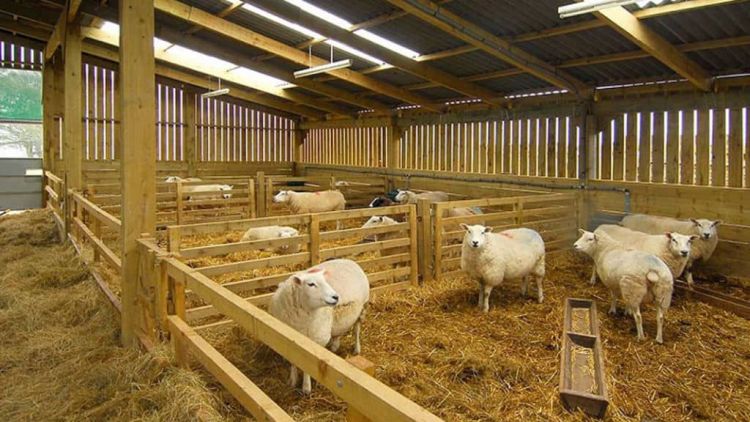Λύση στα χρόνια προβλήματα αδειοδότησης κτηνοτροφικών εγκαταστάσεων