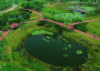 Πόλεις «σφουγγάρι» καταπίνουν το νερό – Η πράσινη απάντηση της Κίνας στην κλιματική κρίση