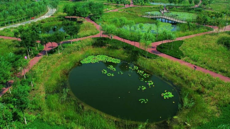 Πόλεις «σφουγγάρι» καταπίνουν το νερό – Η πράσινη απάντηση της Κίνας στην κλιματική κρίση