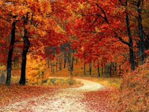 Το μονοπάτι της αγάπης – μια ωραία εκδρομή στην Άνω Μηλιά