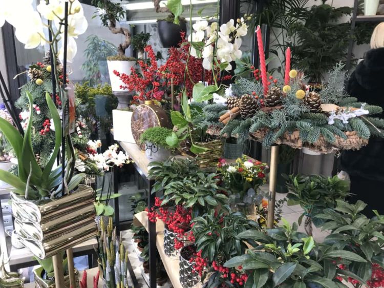 Τα ανθοπωλεία  της πόλης μας  είναι γεμάτα με πανέμορφα λουλούδια