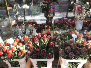 Τα ανθοπωλεία  της πόλης μας  είναι γεμάτα με πανέμορφα λουλούδια