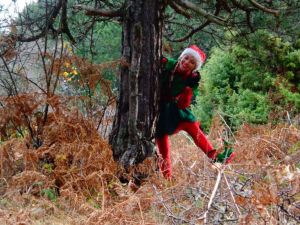 Στον Όλυμπο θα βρίσκεται την Κυριακή ο ΕΟΣ Κοζάνης και στα Πιέρια ο ΕΟΣ Κατερίνης.