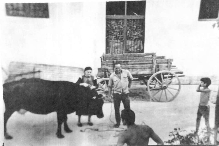 Το «ύψωμα του Άη Μόδεστου» στην παλαιά Λεπτοκαρυά