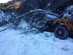 Αποχιονισμός του οδικού δικτύου σε Μόρνα και Φτέρη