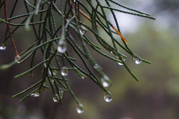 Καιρός: Έκτακτο δελτίο επιδείνωσης – Καταιγίδες και χιόνια από το μεσημέρι της Τρίτης