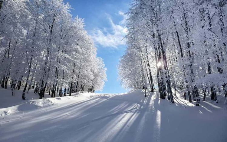 Καιρός Σήμερα: Χιονοπτώσεις με πρόσκαιρες τοπικές βροχές και παγετό