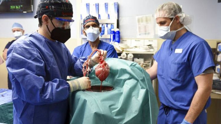 Μεταμόσχευση καρδιάς από χοίρο σε άνθρωπο για πρώτη φορά στην Ιστορία