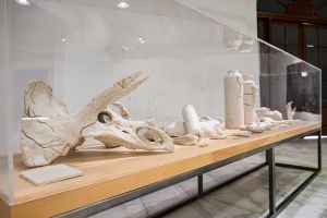 Πρώτες φωτογραφίες από τις δύο περιοδικές εκθέσεις που άνοιξαν σήμερα στην Τεχνόπολη Δήμου Αθηναίων