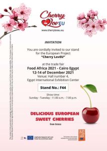 Στην Αίγυπτο έφτασαν τα κεράσια της Ράχης