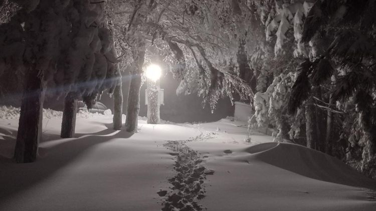 Χιονοδρομικό Κέντρο Ελατοχωρίου – Ένα μέτρο και συνεχίζει!