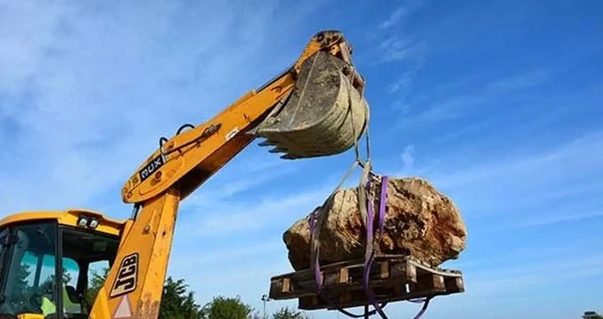 Πιερία: Πριν από εκατομμύρια χρόνια..