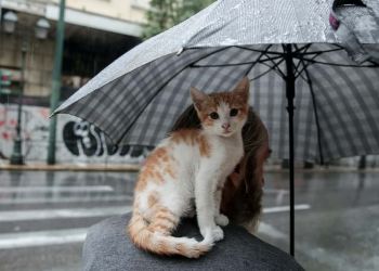 Καιρός σήμερα: Βροχές και καταιγίδες, χιονοπτώσεις στα ορεινά και ημιορεινά Καιρός σήμερα: Βροχές και καταιγίδες, χιονοπτώσεις στα ορεινά και ημιορεινά