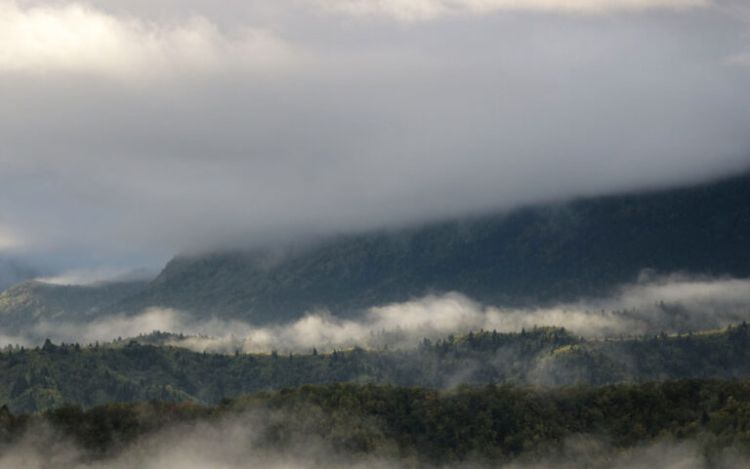 Καιρός σήμερα: Αραιές νεφώσεις με τοπικές βροχές